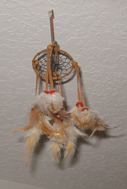 3-D Dreams Dream Catcher