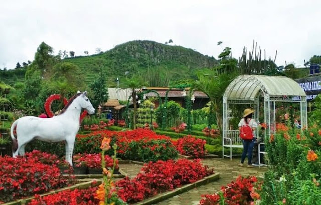 Tempat Wisata Outbound untuk Anak | Outbound Lembang Outbound Bandung