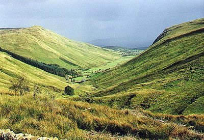 Irish Valley