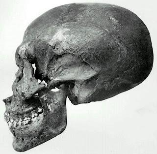 Skull from KV55