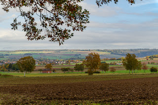 Waldfotografie Weserbergland Olaf Kerber