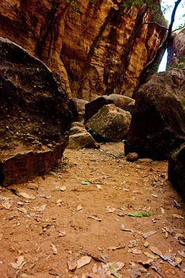 At the outskirts of Panchmarhi, a quaint hill station in Madhya Pradesh, you can find huge rocks that hide big and small caves. This place is commonly known as Reechch Garh and local folk tales associate it with Jamwanth, the legendary reechch who joined forces with Lord Ram against Ravan.In recent past, it is supposed to have been the home of many wild animals, including black bear. There are two main caves. One is gigantic and the other so narrow that you almost need to crawl through it.,Reechch Garh, Reech, Reechch, Caves, Madhya Pradesh,  Panchmarhi,  Rocks,  Boulders