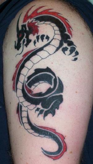 tribal dragon drawing. dragon tattoo drawings