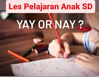 Les Pelajaran SD Yay or Nay