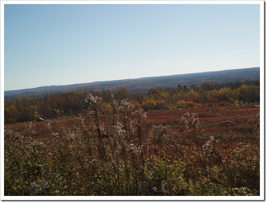 Clary Hill 038