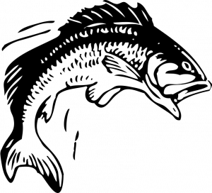 Cartoon Fish Black And White