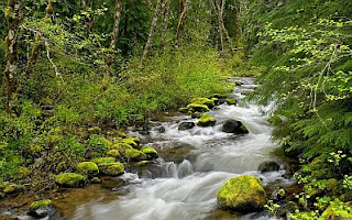 Paisajes con Rios, parte 2