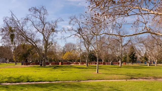 picnicking in griffith park or runyon canyon park los angeles, usa