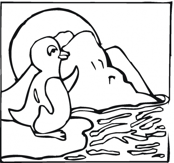  Coloring Penguin Pages 9