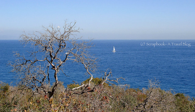 Santa Catalina Island and blue ocean