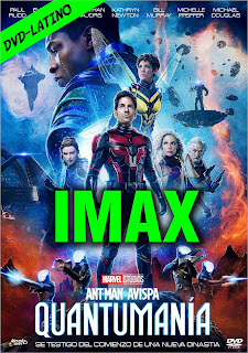 ANT-MAN 3 Y LA AVISPA – QUANTUMANIA – VERSIÓN IMAX – DVD-5 – DUAL LATINO – 2023 – (VIP)