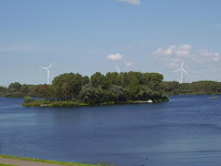 Tree island at Brielse Meer