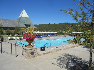 coppola winery swimming pool