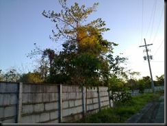 Tating242[1]