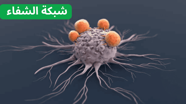 السرطان (Cancer): كل ما تحتاج معرفته عن مرض السرطان من الأعراض للعلاج