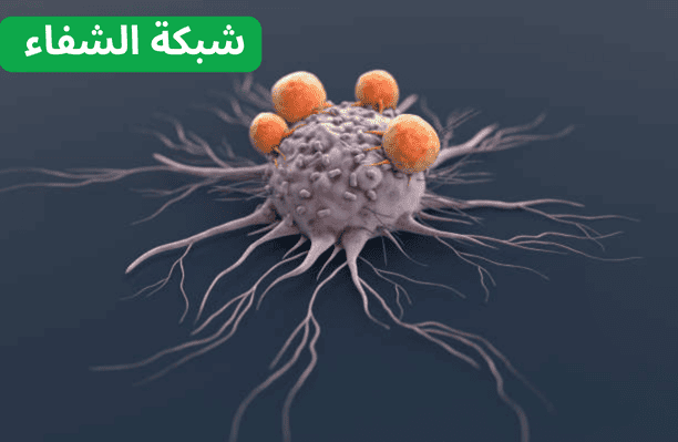 السرطان السرطان