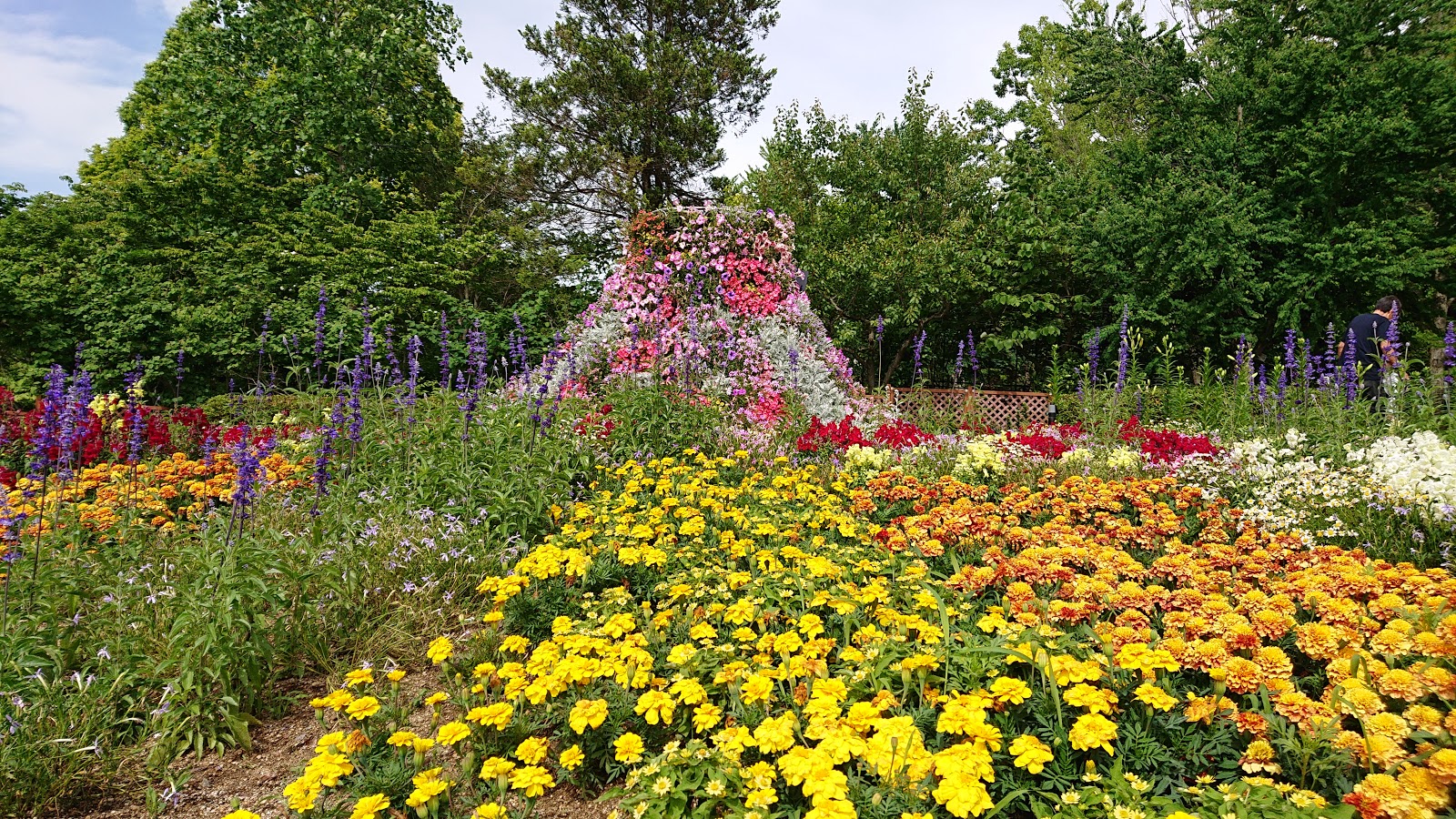 南河内探訪 花の文化園 河内長野市 花も撮影もイベントも楽しめる植物園