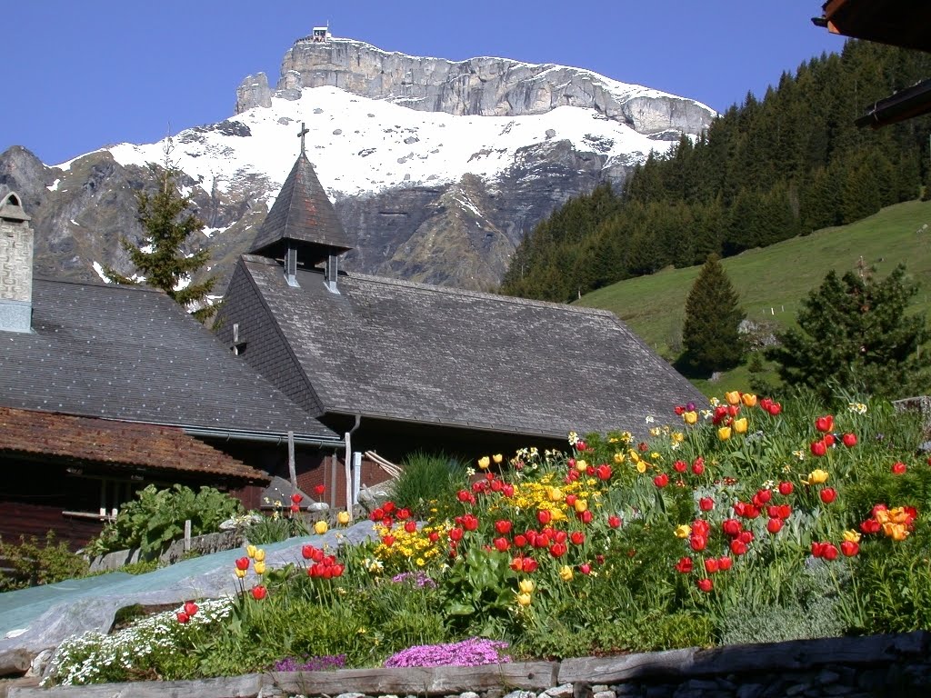 Lauterbrunnen Switzerland waterfalls heaven, Touris destination, vacation spot, vacation, tourism, best vataion spot, Mountain Vacation, National Parks Vacation, Waterfall Vacation, Vacation Pictures