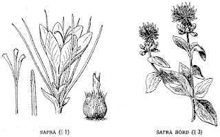 safrà, safrá brot, safrà bord