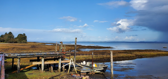 View of Willapa Bay