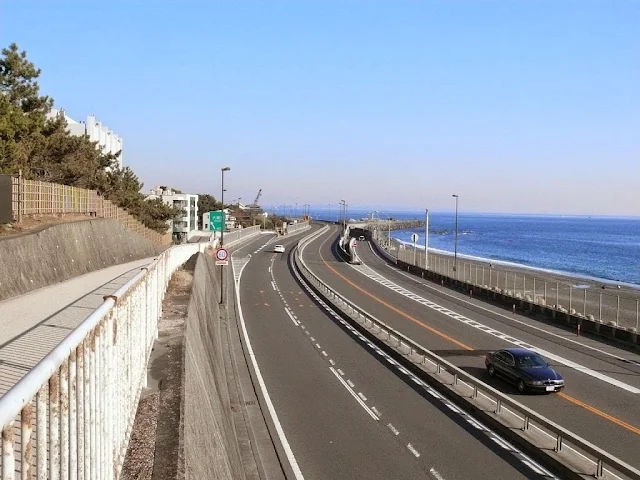 大磯　太平洋岸自転車道