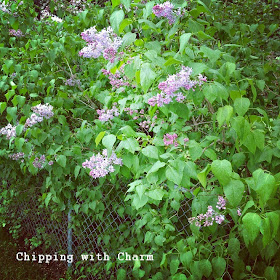 Chipping with Charm: SunShine...http://www.chippingwithcharm.blogspot.com/