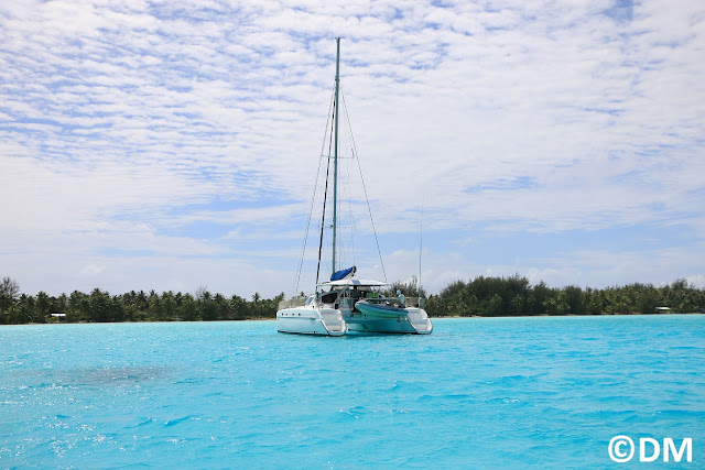 Photo du Catamaran des Biquets Belize 43