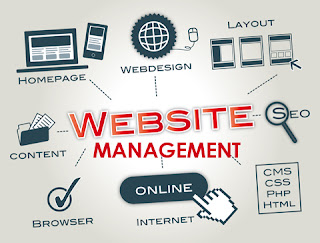 manajemen website