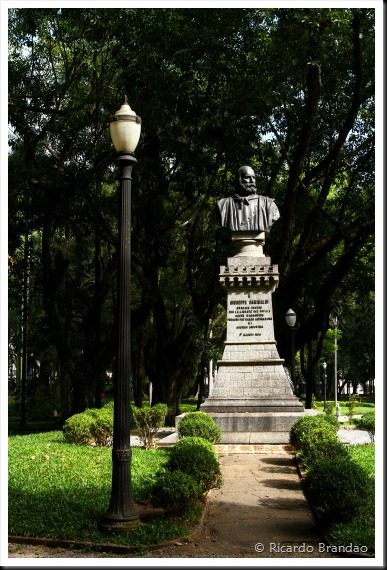 luz26