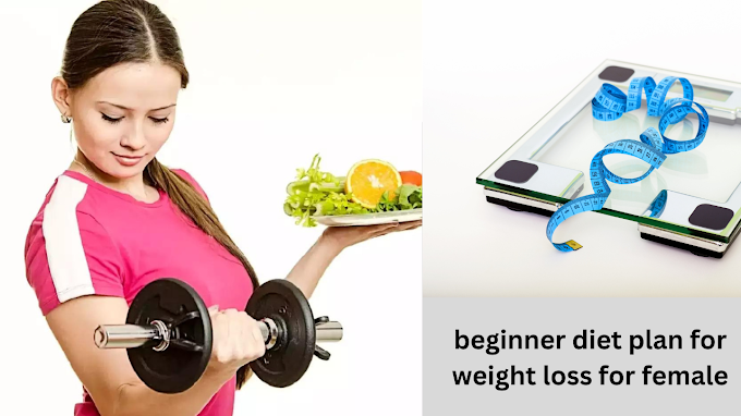 beginner diet plan for weight loss for femal