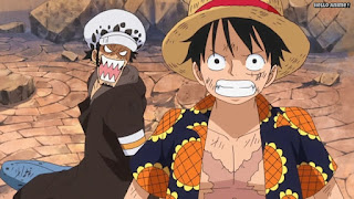 ワンピースアニメ ドレスローザ編 684話 ルフィ トラ男 トラファルガー・ロー | ONE PIECE Episode 684