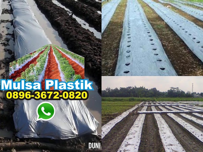 Fungsi Mulsa Plastik Hitam Perak