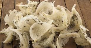 Harga, Sarang, Walet, Per, Kg,