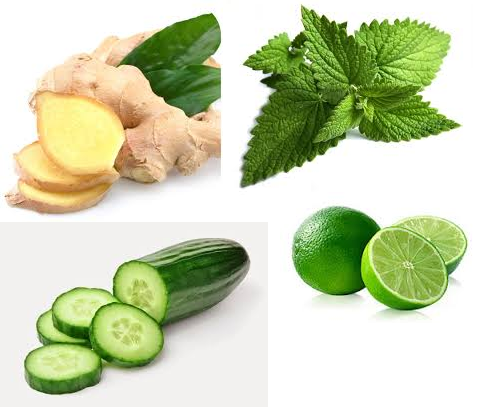 Resepi Detox Minuman Pembakar Lemak  Download Percuma