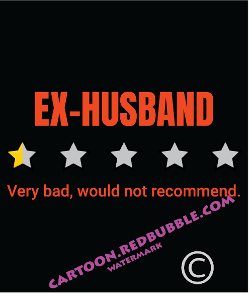 Ex-Husband review: half star out of 5 - Funny