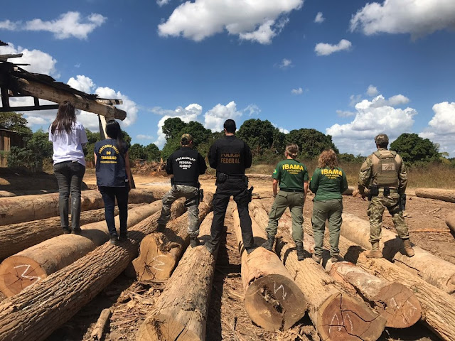 PF apreende 56m³ de madeira ilegal durante operação no Maranhão