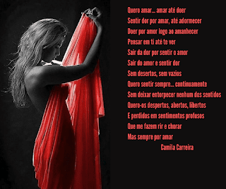 poemas de amor, rosas e cinzas, camila carreira, poetisa