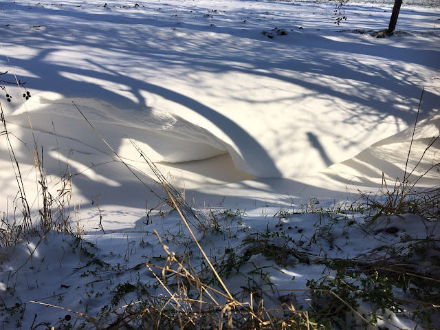golven van sneeuw