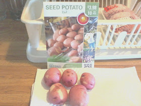 From Seed to Kitchen Red Potatoes