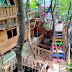 Sensasi Wisata Rumah Pohon Mangrove Masnana Wajib Dikunjungi