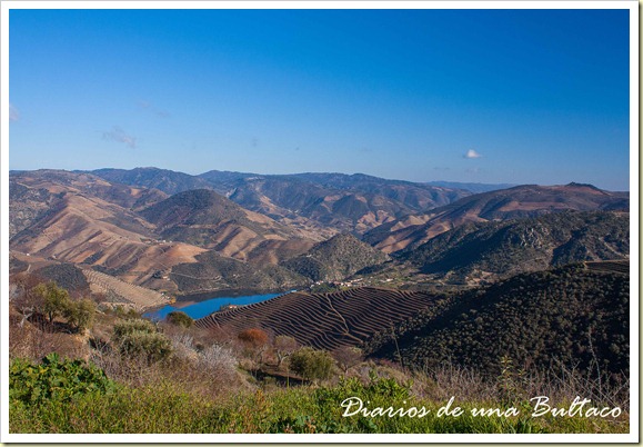 Douro-26