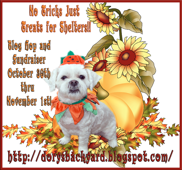 http://dorysbackyard.blogspot.com/2015/10/treats-for-shelter-dogs.html