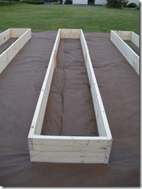 gardenbox 006