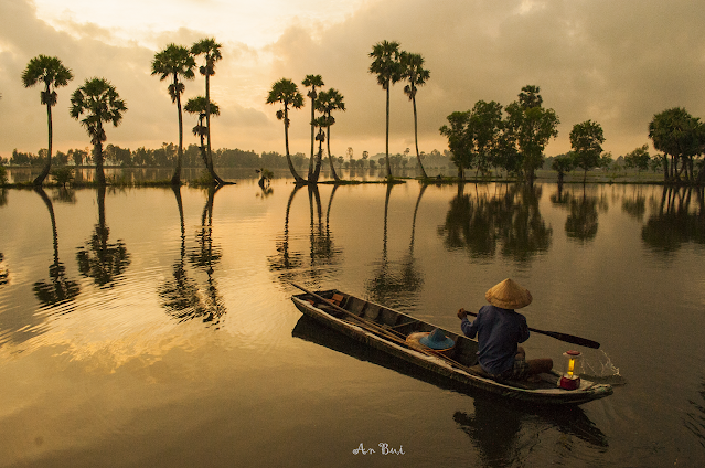 Bình minh bên hàng Thốt Nốt