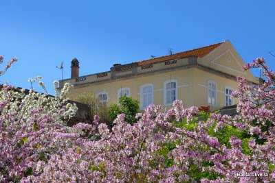 Uma casa em Silves, Maio 2010