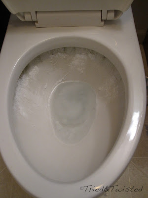 Sprinkle 1 cup of Baking Soda on Toilet, but Does it Clean? | Tried & Twisted