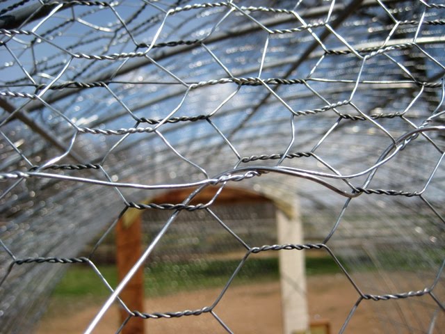 Building a Chicken Coop Hoop House - Part II | Gypsy Farmgirl