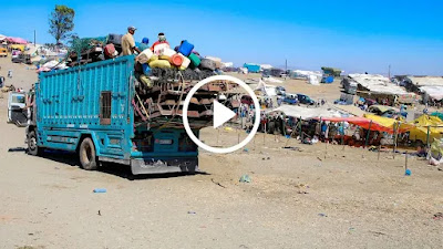 قبل يومين من عيد الأضحى.. سوق الماشية بطنجة فارغ