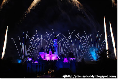 Disney Firework