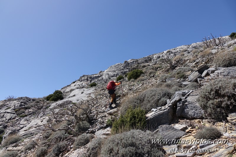 Puerto Corona-Oreganeros-Torrecilla-Atalayas